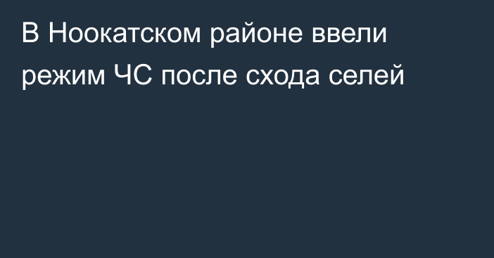 В Ноокатском районе ввели режим ЧС после схода селей