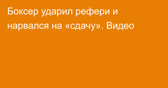 Боксер ударил рефери и нарвался на «сдачу». Видео