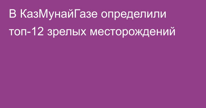 В КазМунайГазе определили топ-12 зрелых месторождений