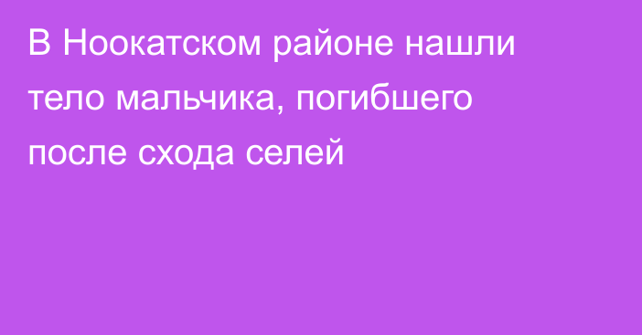 В Ноокатском районе нашли тело мальчика, погибшего после схода селей