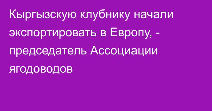 Кыргызскую клубнику начали экспортировать в Европу, - председатель Ассоциации ягодоводов