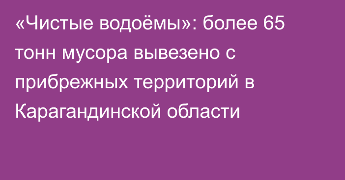 «Чистые водоёмы»: более 65 тонн мусора вывезено с прибрежных территорий в Карагандинской области