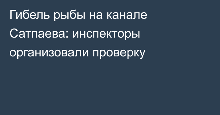 Гибель рыбы на канале Сатпаева: инспекторы организовали проверку