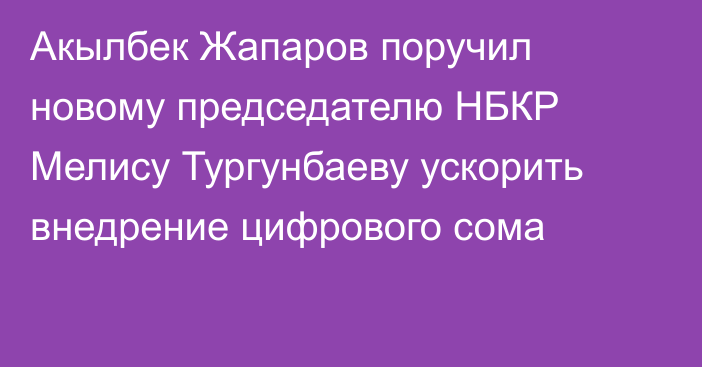 Акылбек Жапаров поручил новому председателю НБКР Мелису Тургунбаеву ускорить внедрение цифрового сома