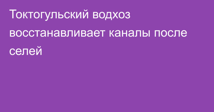 Токтогульский водхоз восстанавливает каналы после селей