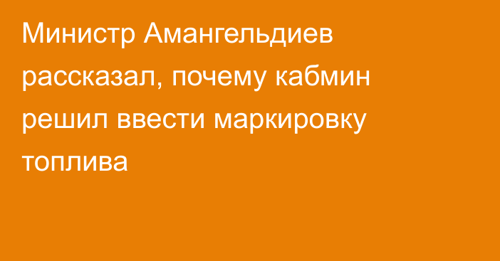 Министр Амангельдиев рассказал, почему кабмин решил ввести маркировку топлива