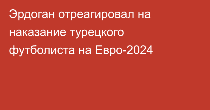 Эрдоган отреагировал на наказание турецкого футболиста на Евро-2024