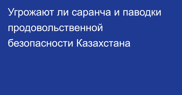 Угрожают ли саранча и паводки продовольственной безопасности Казахстана