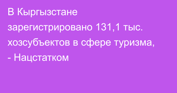 В Кыргызстане зарегистрировано 131,1 тыс. хозсубъектов в сфере туризма, - Нацстатком