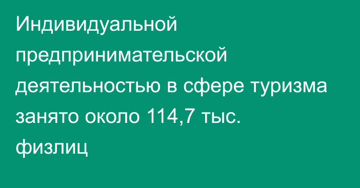 Индивидуальной предпринимательской деятельностью в сфере туризма занято около 114,7 тыс. физлиц