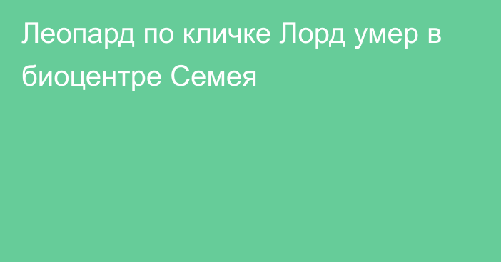 Леопард по кличке Лорд умер в биоцентре Семея