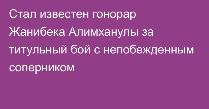 Стал известен гонорар Жанибека Алимханулы за титульный бой с непобежденным соперником