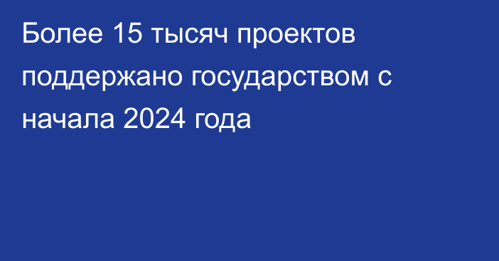 Более 15 тысяч проектов поддержано государством с начала 2024 года