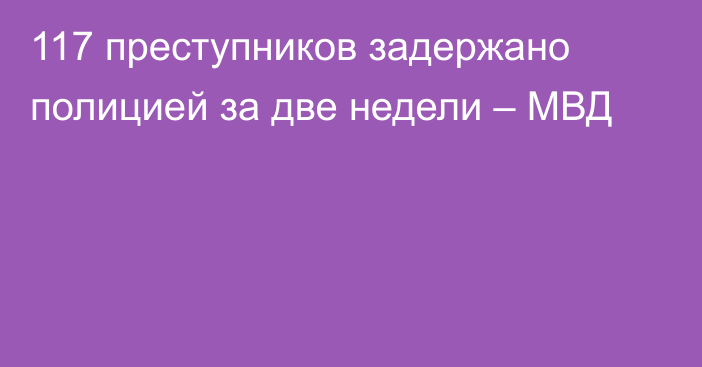 117 преступников задержано полицией за две недели – МВД