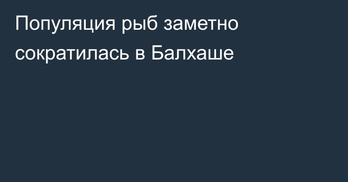 Популяция рыб заметно сократилась в Балхаше