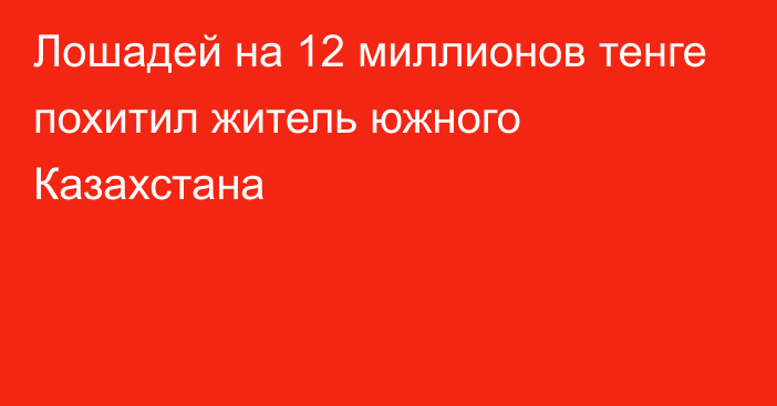 Лошадей на 12 миллионов тенге похитил житель южного Казахстана