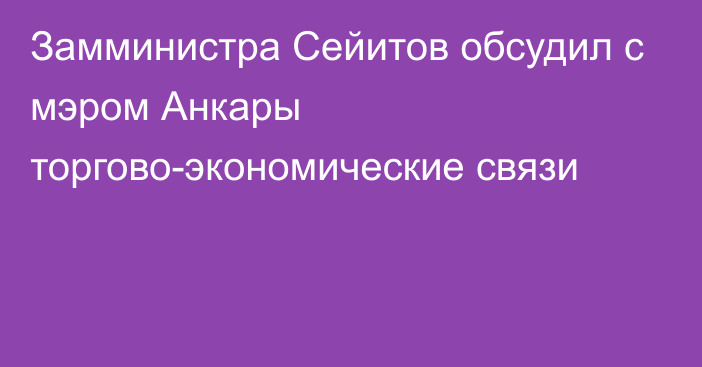 Замминистра Сейитов обсудил с мэром Анкары торгово-экономические связи