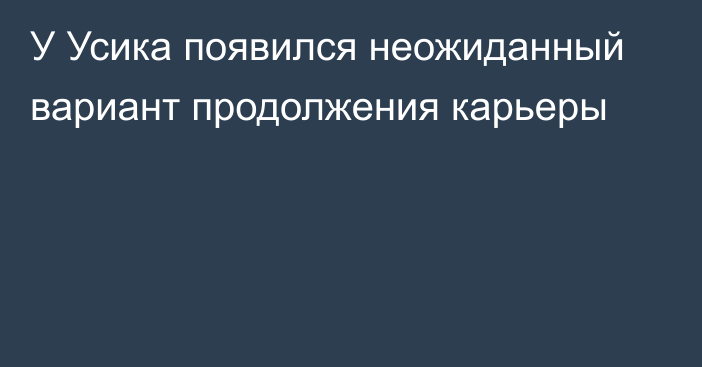 У Усика появился неожиданный вариант продолжения карьеры