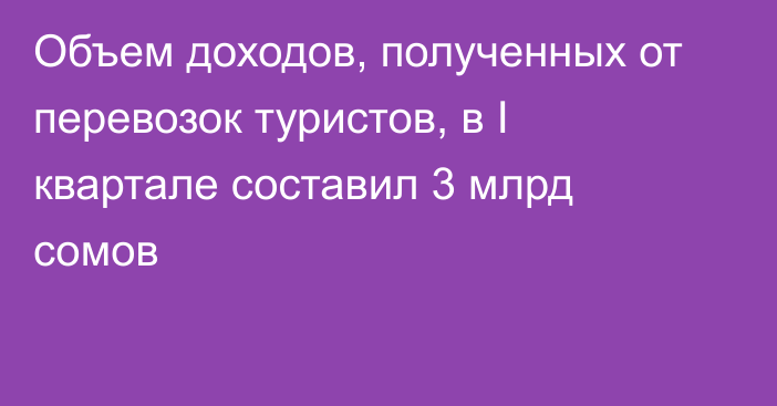 Объем доходов, полученных от перевозок туристов, в I квартале составил 3 млрд сомов