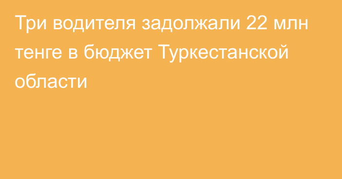 Три водителя задолжали 22 млн тенге в бюджет Туркестанской области