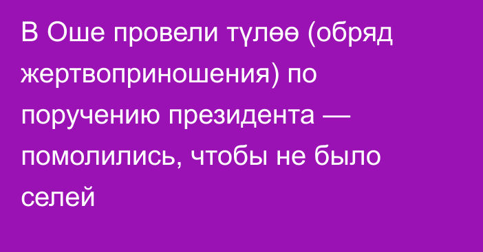 В Оше провели түлөө (обряд жертвоприношения) по поручению президента — помолились, чтобы не было селей