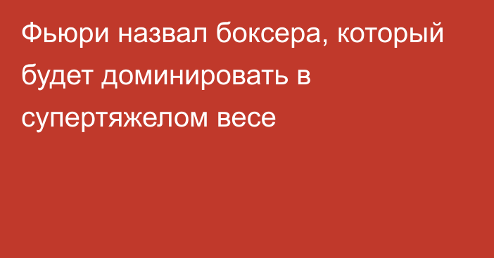 Фьюри назвал боксера, который будет доминировать в супертяжелом весе