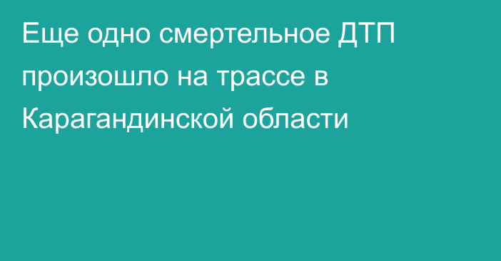 Еще одно смертельное ДТП произошло на трассе в Карагандинской области