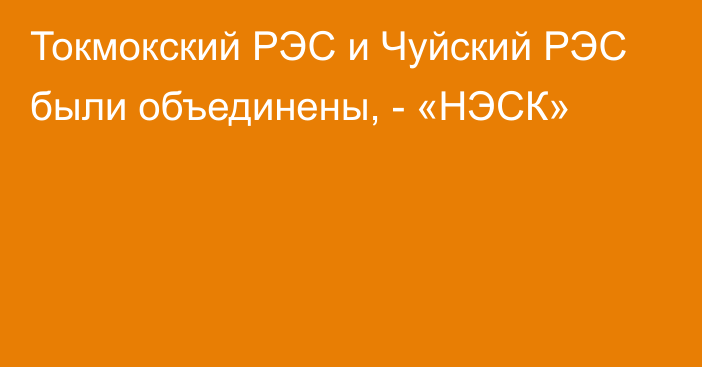 Токмокский РЭС и Чуйский РЭС были объединены, - «НЭСК»