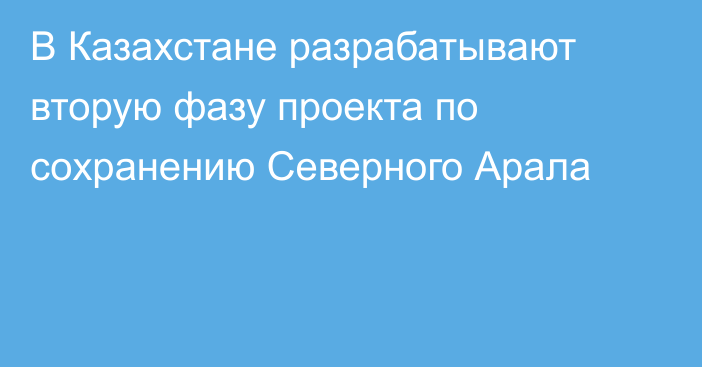 В Казахстане разрабатывают вторую фазу проекта по сохранению Северного Арала