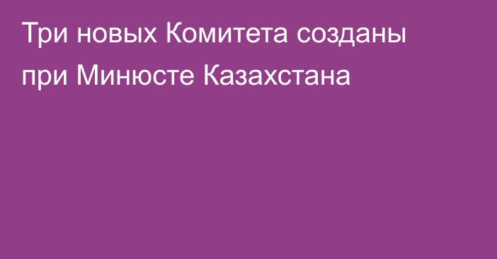 Три новых Комитета созданы при Минюсте Казахстана