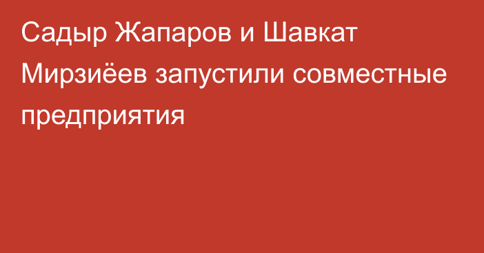 Садыр Жапаров и Шавкат Мирзиёев запустили совместные предприятия