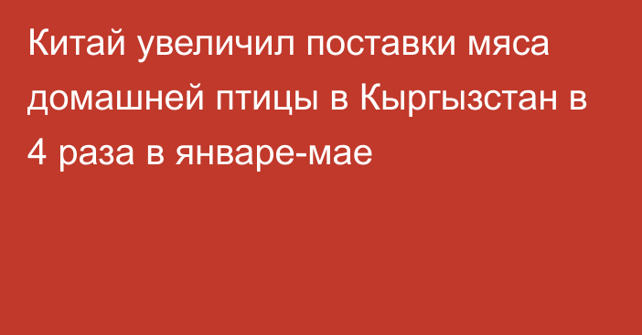 Китай увеличил поставки мяса домашней птицы в Кыргызстан в 4 раза в январе-мае