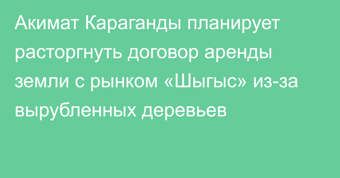 Акимат Караганды планирует расторгнуть договор аренды земли с рынком «Шыгыс» из-за вырубленных деревьев