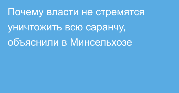 Почему власти не стремятся уничтожить всю саранчу, объяснили в Минсельхозе