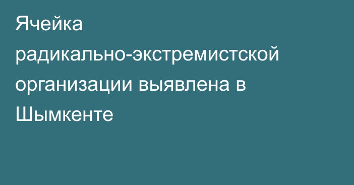 Ячейка радикально-экстремистской организации выявлена в Шымкенте