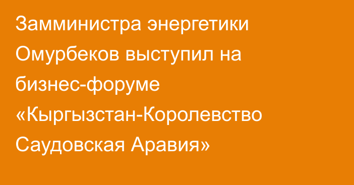 Замминистра энергетики Омурбеков выступил на бизнес-форуме «Кыргызстан-Королевство Саудовская Аравия»