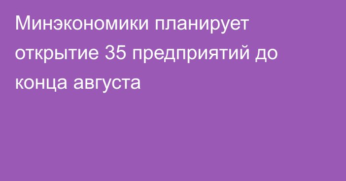 Минэкономики планирует открытие 35 предприятий до конца августа