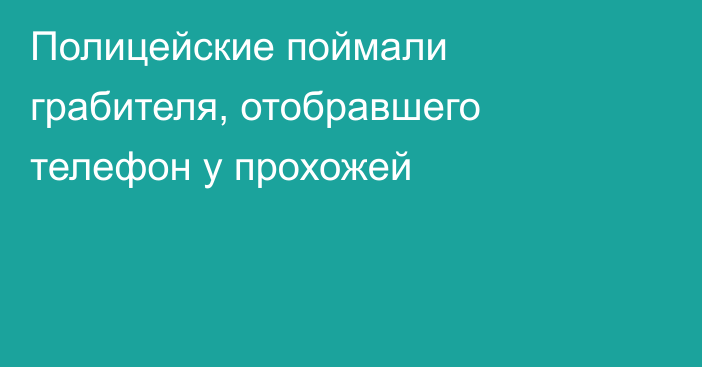 Полицейские поймали грабителя, отобравшего телефон у прохожей