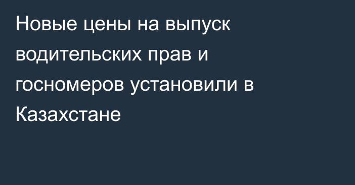 Новые цены на выпуск водительских прав и госномеров установили в Казахстане