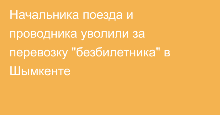 Начальника поезда и проводника уволили за перевозку 