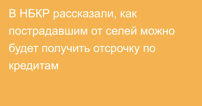 В НБКР рассказали, как пострадавшим от селей можно будет получить отсрочку по кредитам