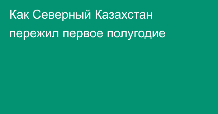 Как Северный Казахстан пережил первое полугодие