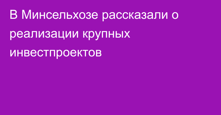 В Минсельхозе рассказали о реализации крупных инвестпроектов