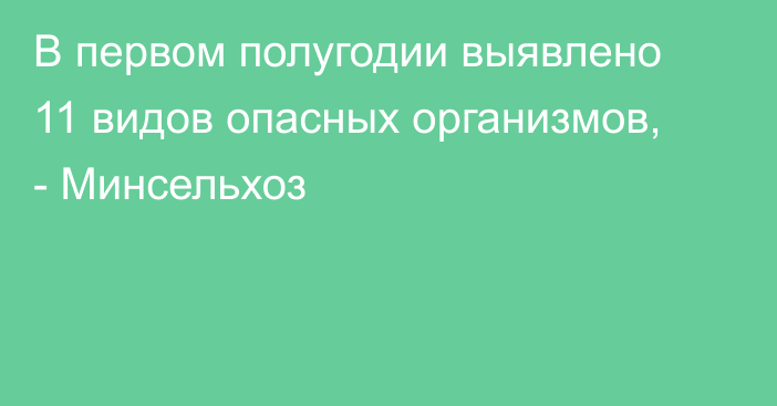 В первом полугодии выявлено 11 видов опасных организмов, - Минсельхоз