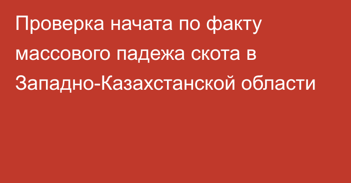 Проверка начата по факту массового падежа скота в Западно-Казахстанской области