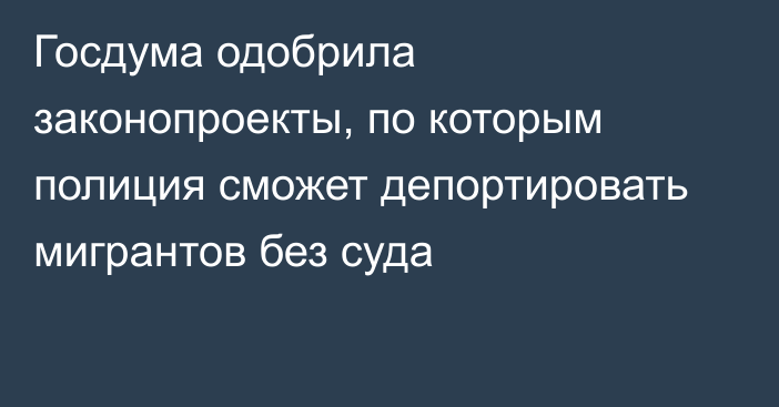 Госдума одобрила законопроекты, по которым полиция сможет депортировать мигрантов без суда