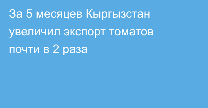 За 5 месяцев Кыргызстан увеличил экспорт томатов почти в 2 раза