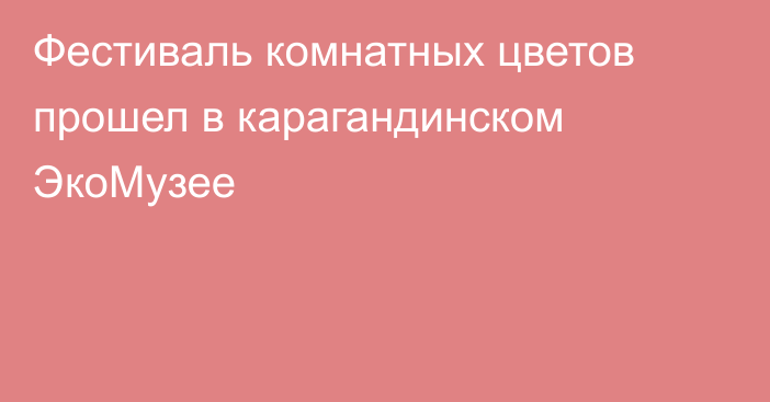 Фестиваль комнатных цветов прошел в карагандинском ЭкоМузее