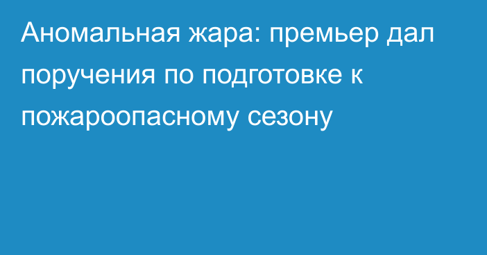 Аномальная жара: премьер дал поручения по подготовке к пожароопасному сезону