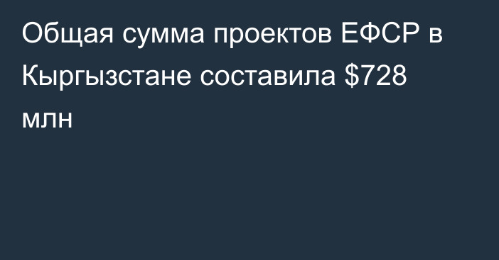 Общая сумма проектов ЕФСР в Кыргызстане составила $728 млн